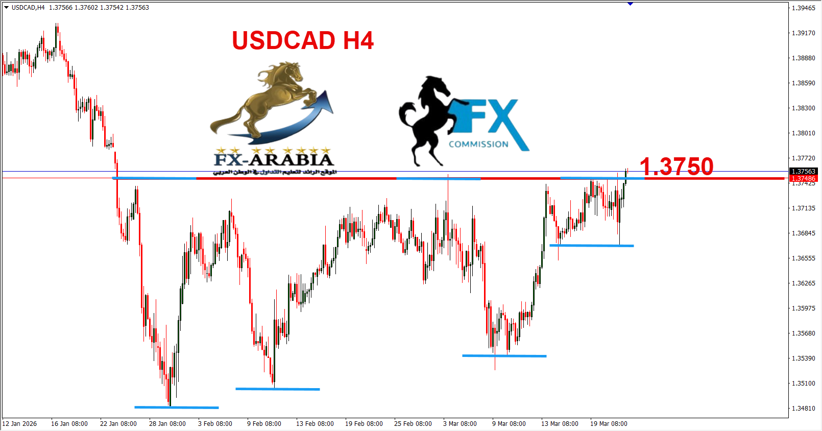 التحليل الفني الدولار كندي اليوم 24/3/2026